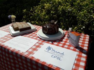 Cakes and a piece of paper with the CPSL Mind logo on it on a table with a red and white checked table cloth