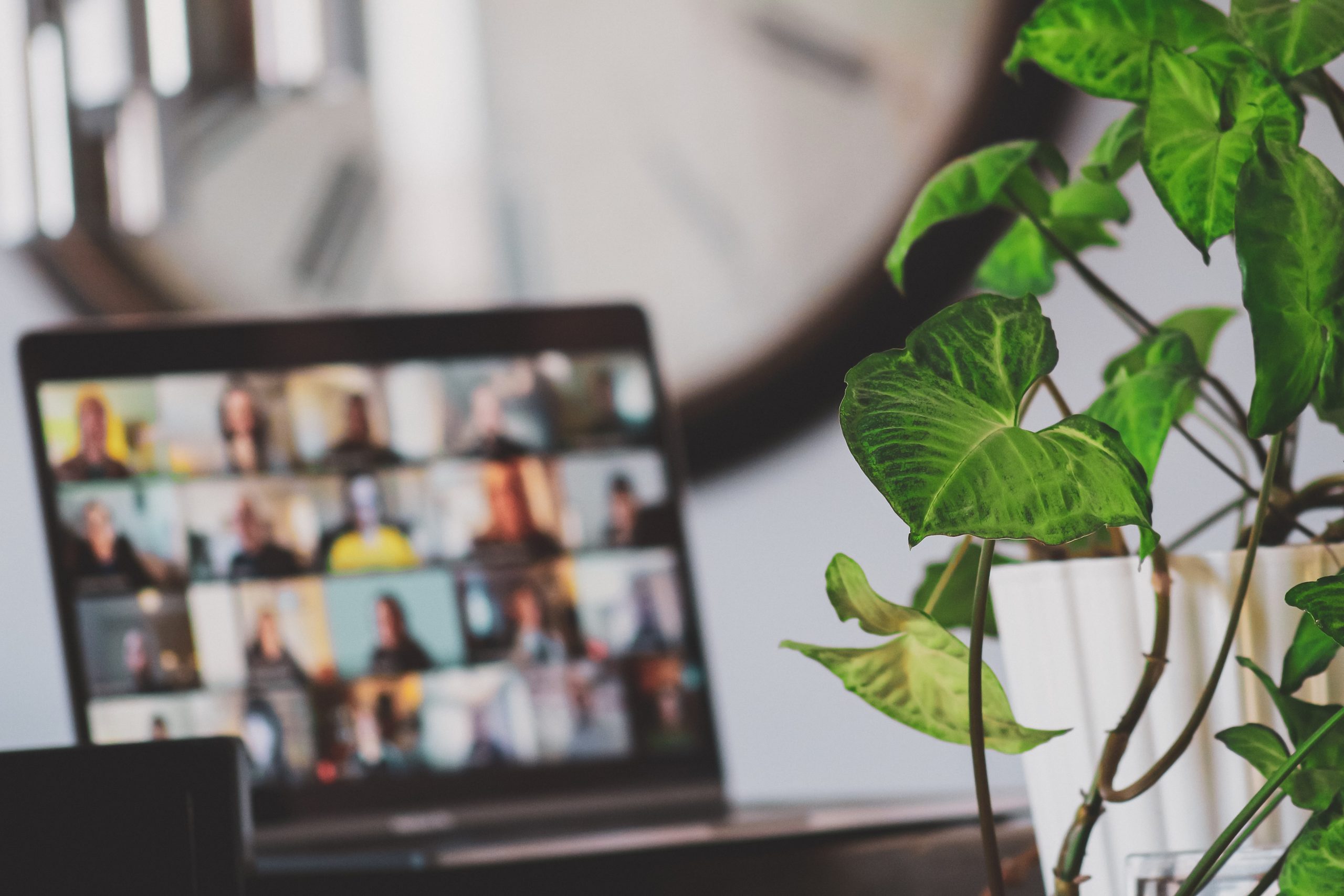 Zoom call on laptop with plants and clock in background