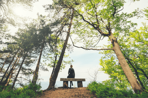 Person sitting on a bench surrounded by trees