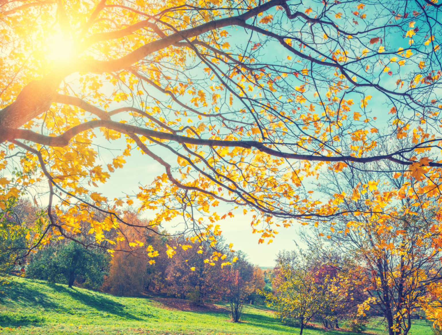 Helpful strategies to help Seasonal Affective Disorder (SAD)