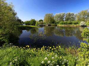 image of riverside walk