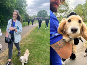 image of dog walker and dog