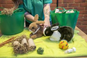 image of black and white rabbit and brown rabbit on green table