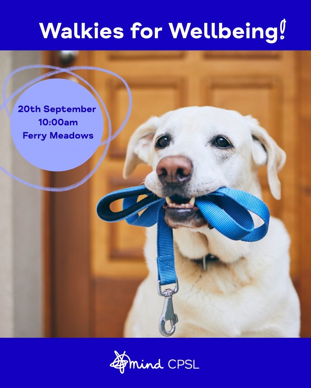 dog and blue lead